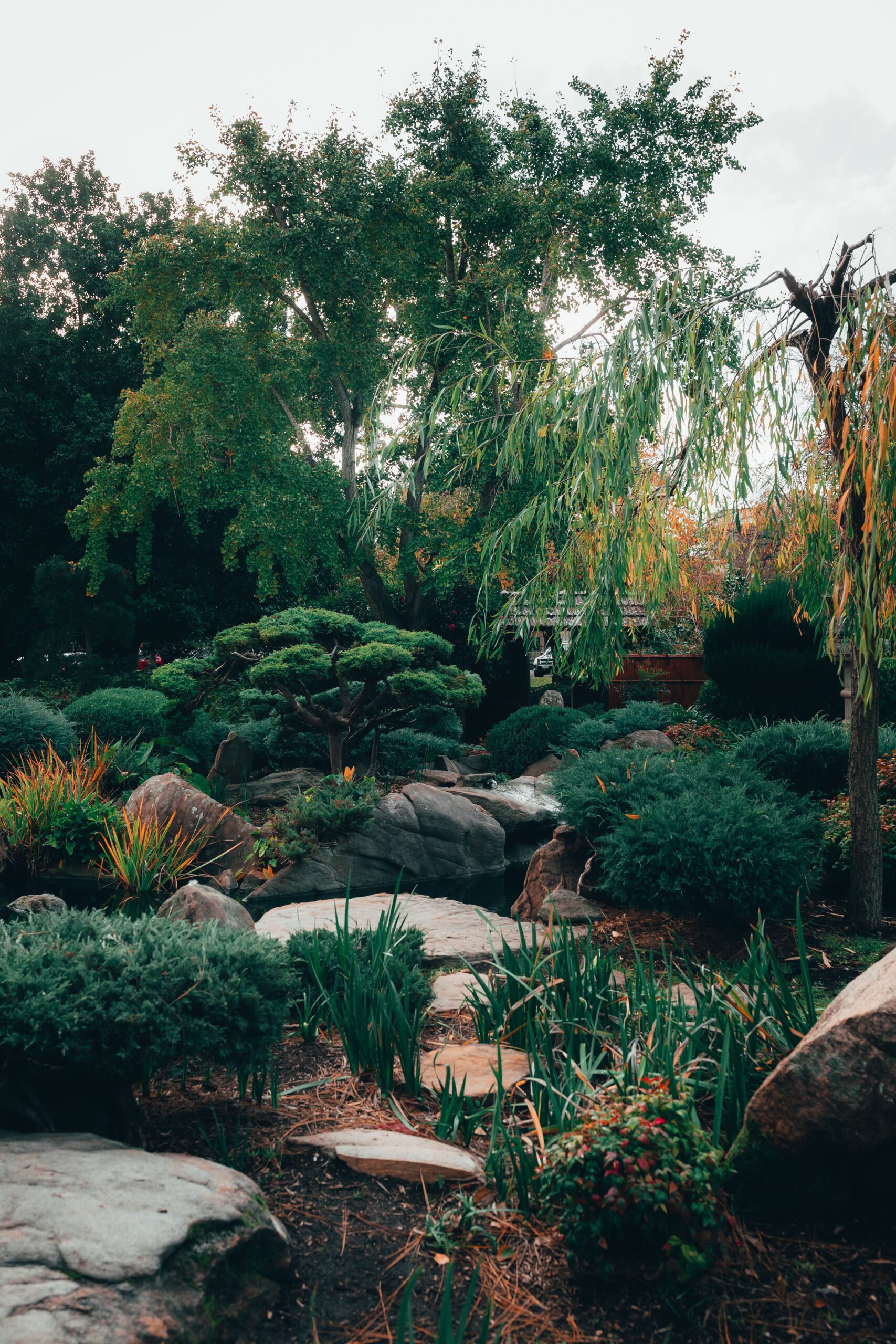 Do papel ao jardim: Paisagismo na prática